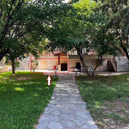 Summer Vibes 1 Nea Kallikrateia